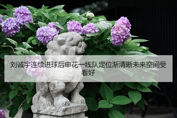 刘诚宇连续进球后申花一线队定位渐清晰未来空间受看好